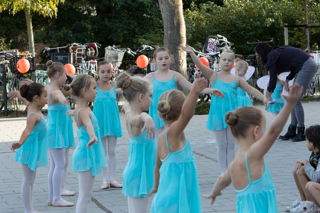 Schoolplein Festival A054.jpg